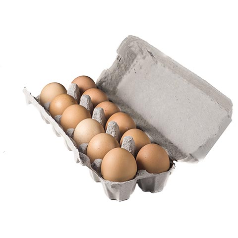 egg carton